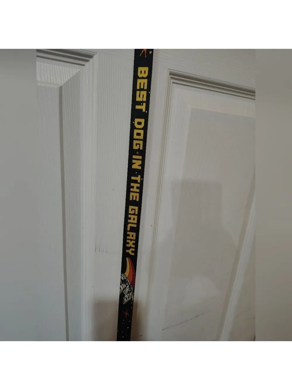 Disney Star Wars “The Best Dog In The Galaxy” 6 Ft Dog Leash